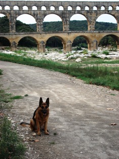 Lotte bij Pont du Gard